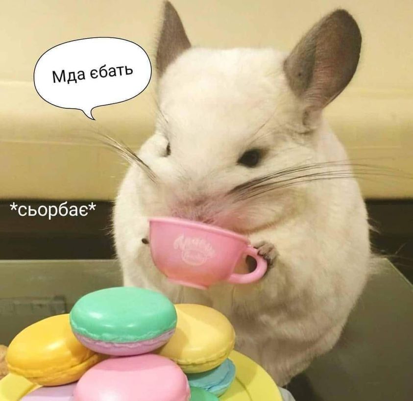 242155