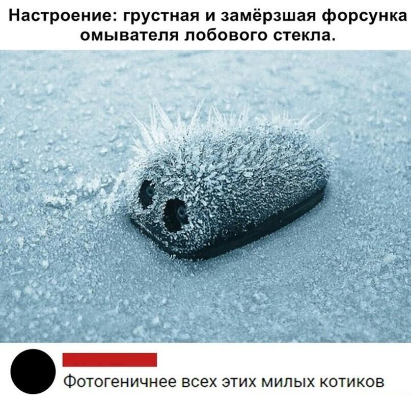 242186