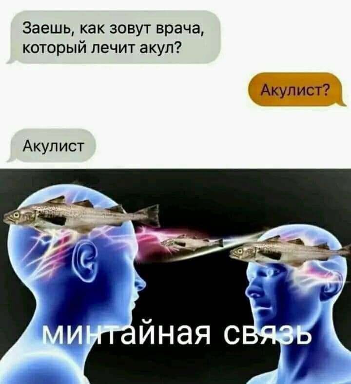 242621