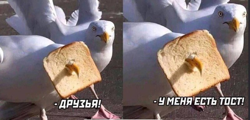 242639