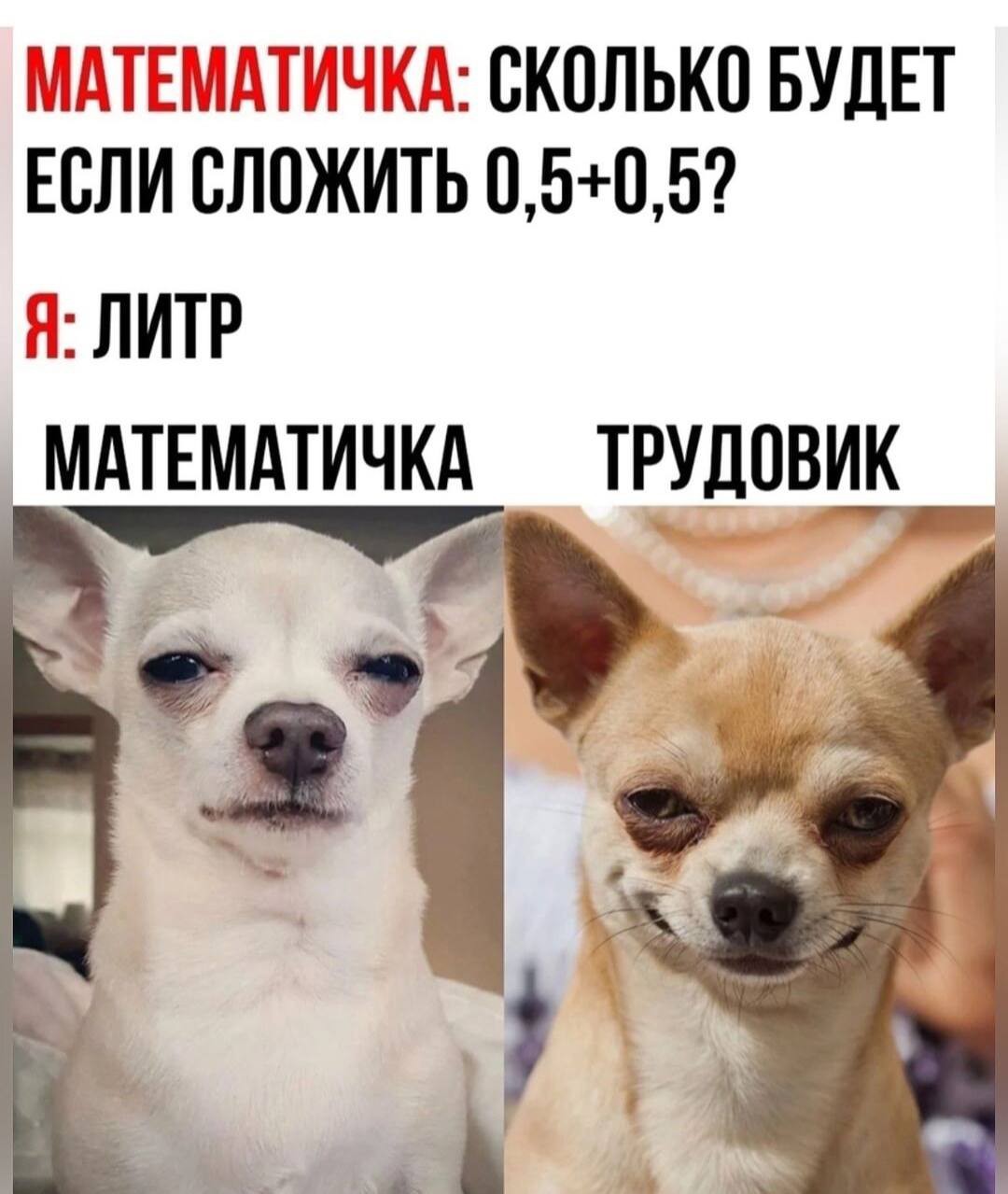 242680