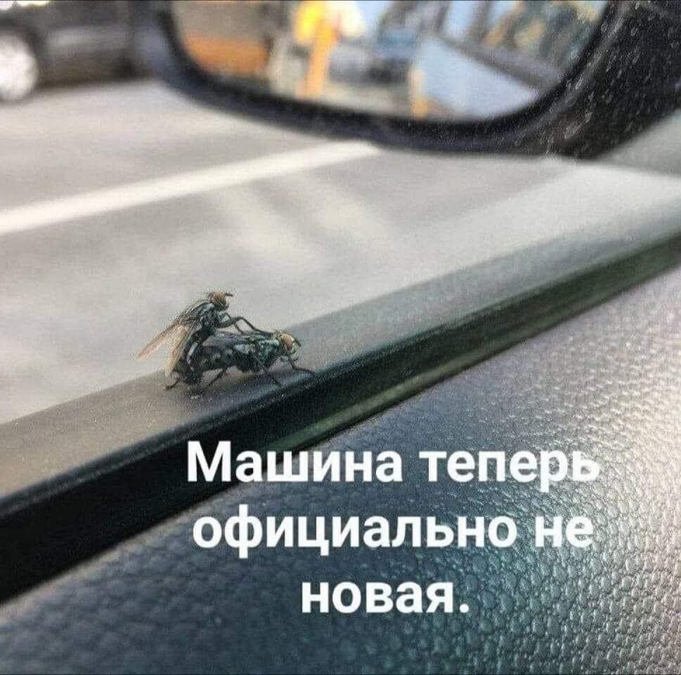 IMG_7949.jpeg
