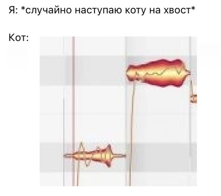 IMG_8096.png