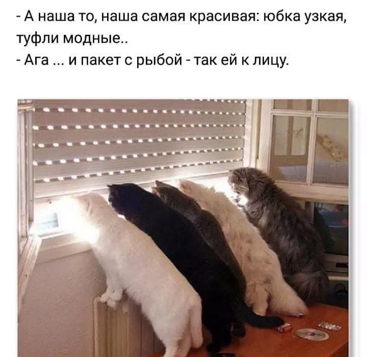 250396