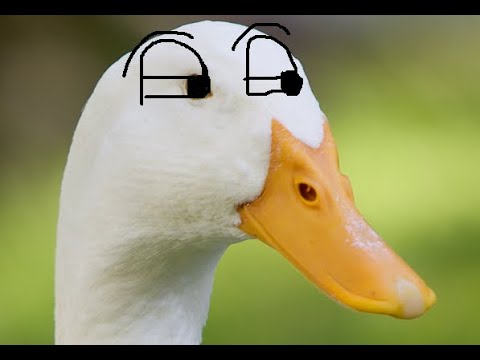 251671