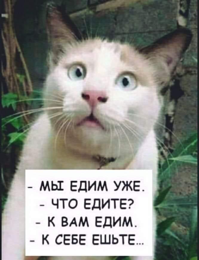 IMG_8206.jpeg