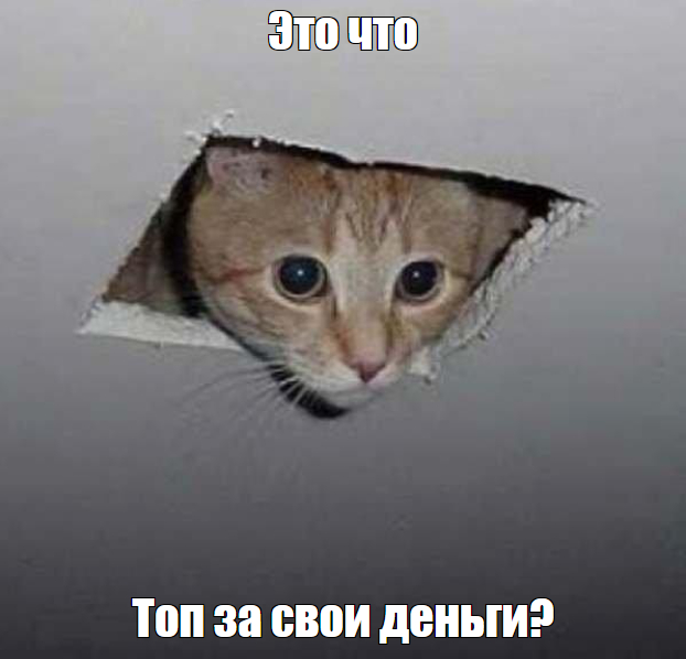 167393940319259794.jpg