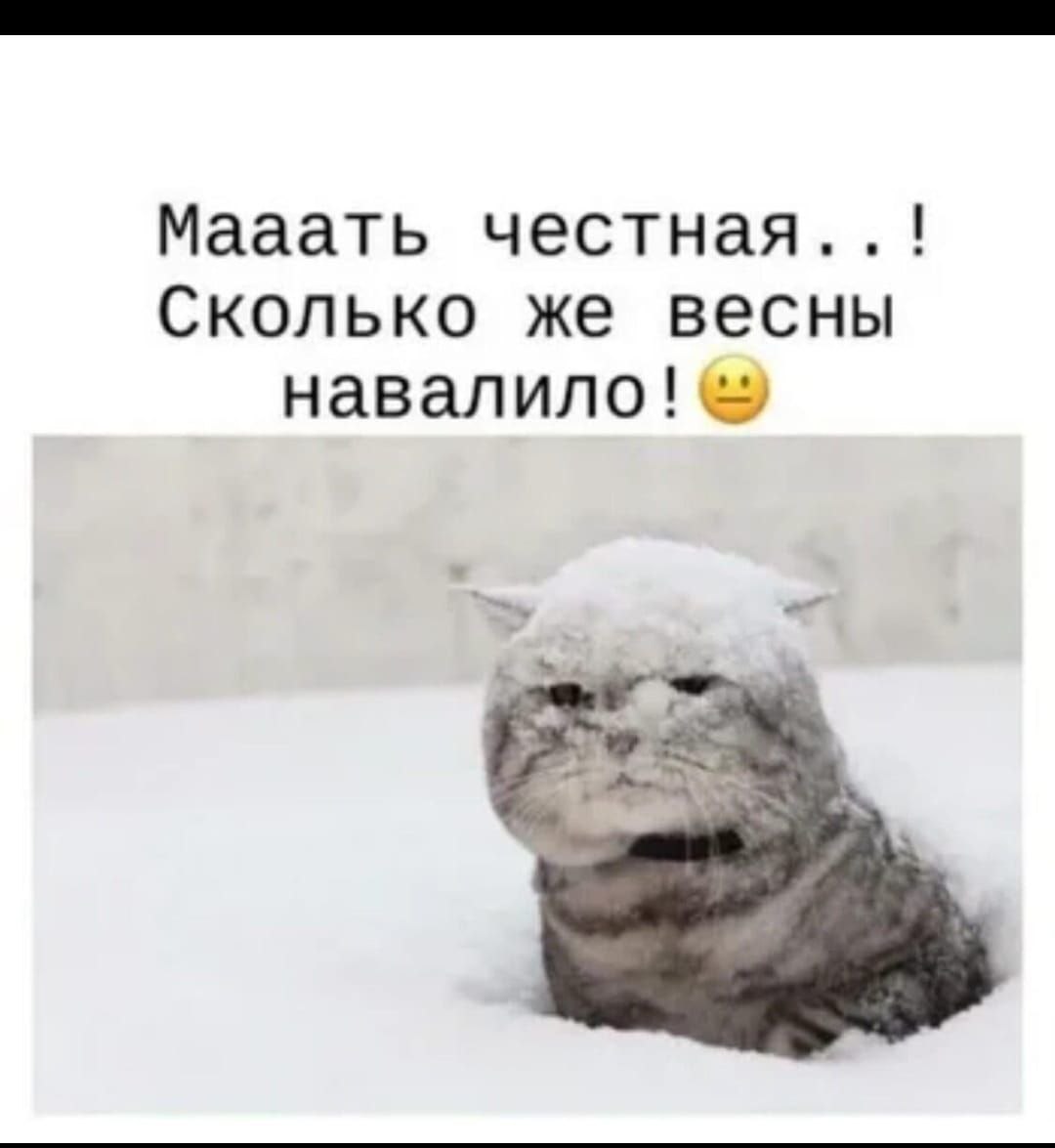 kote_mat.jpg