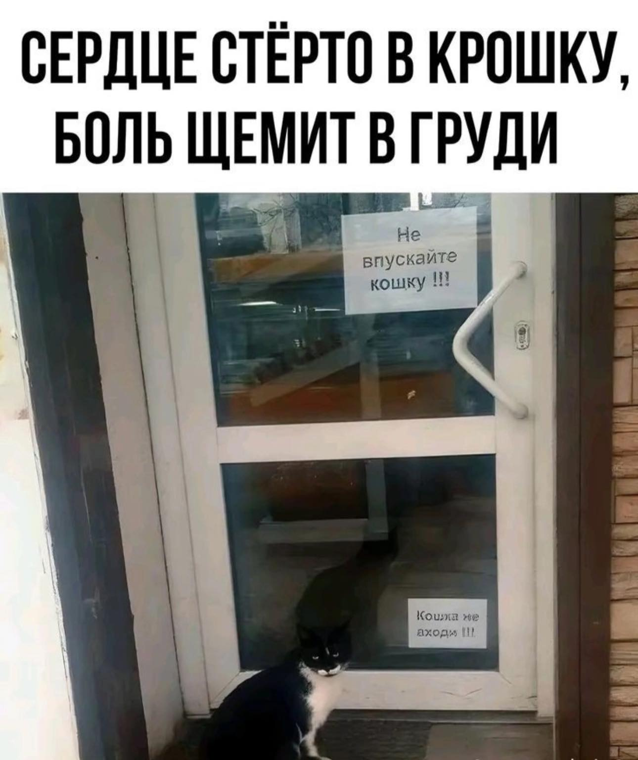 1744692889505.png