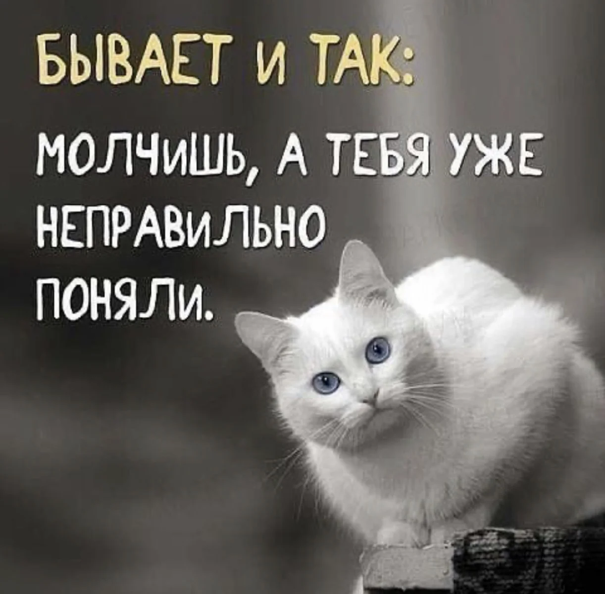 1744746826513.png