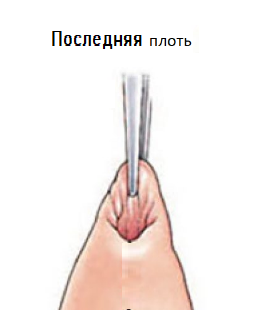 1745575124689.png
