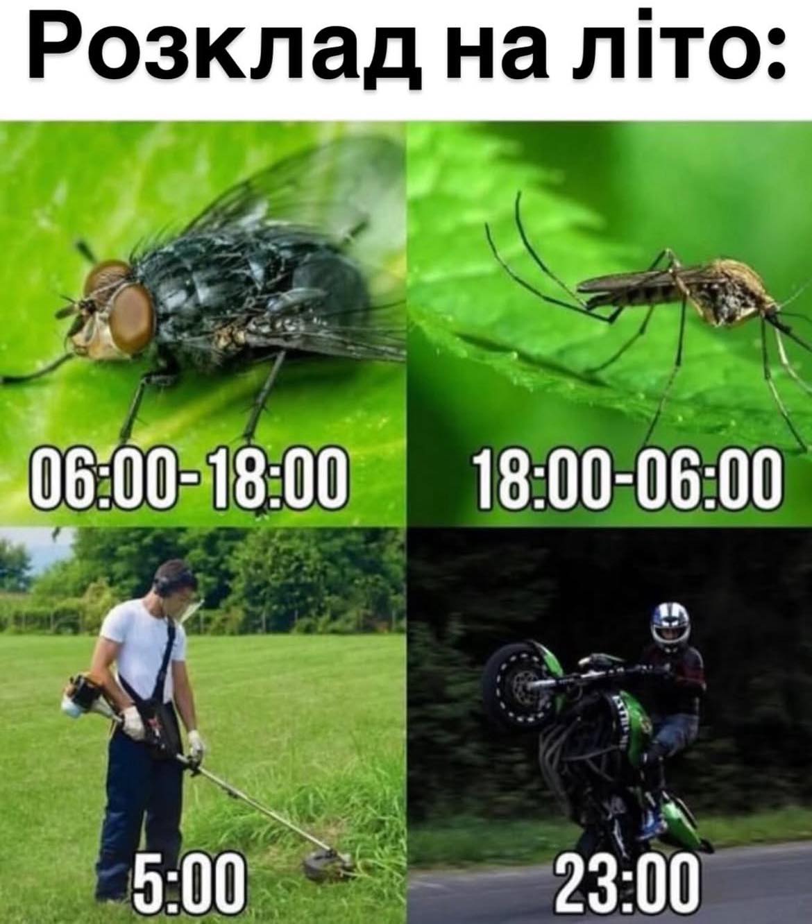 492345239_1364960658085791_7695594243241257000_n.jpg