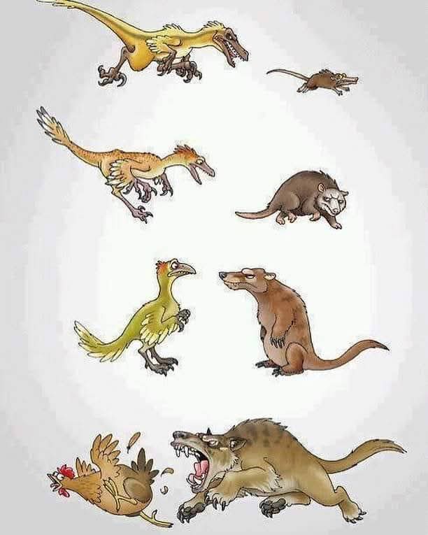 dinochick.jpg