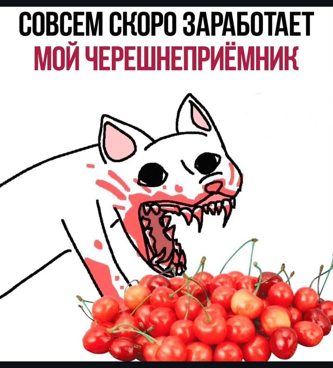 GrkUnl4WQAAwRBb.jpg