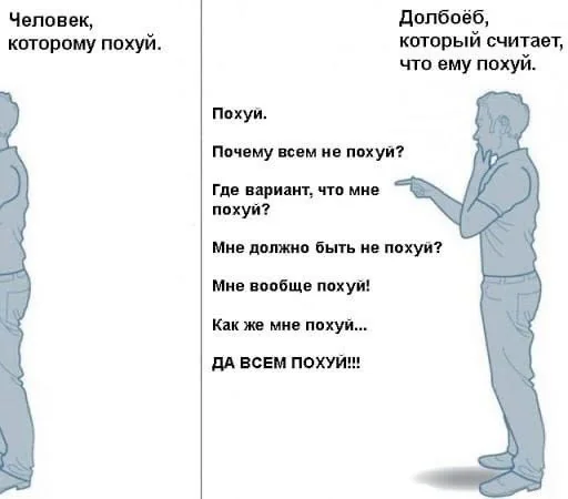b097vddkzjs71.jpg.webp