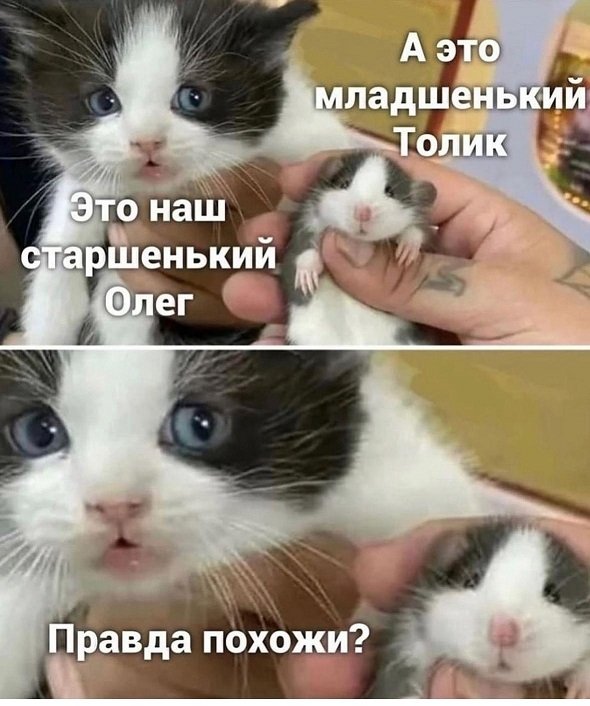 Gjo-UQQXwAARXOI.jpg