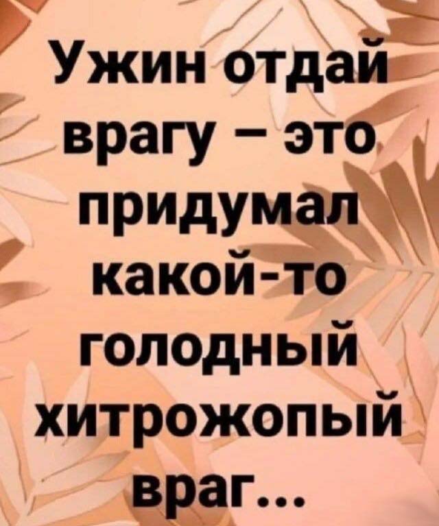 отдайужин.jpg