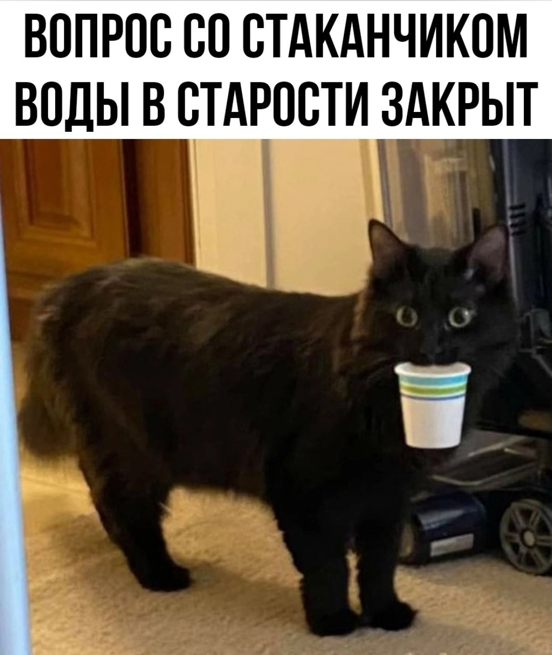 Screenshot_2025-06-12-15-23-46-189_com.vkontakte.android-edit.jpg