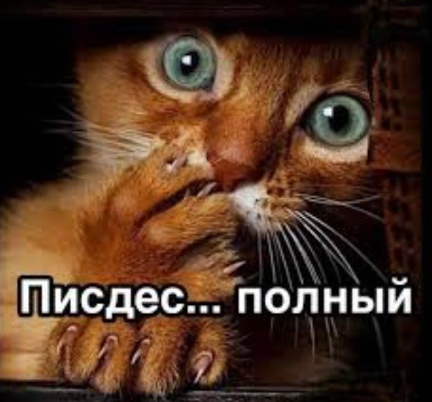 Снимок экрана 2025-07-18 211724.jpg