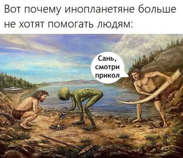 vfqrd6ir.jpg
