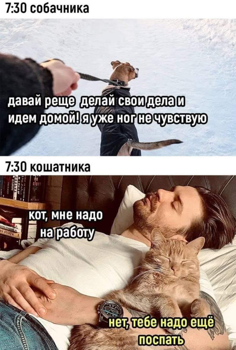 kote_spat.jpg