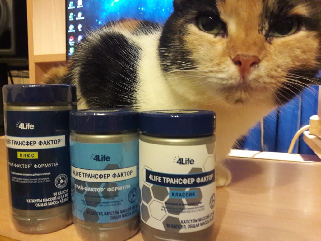 Ассоль и ТФ.jpeg