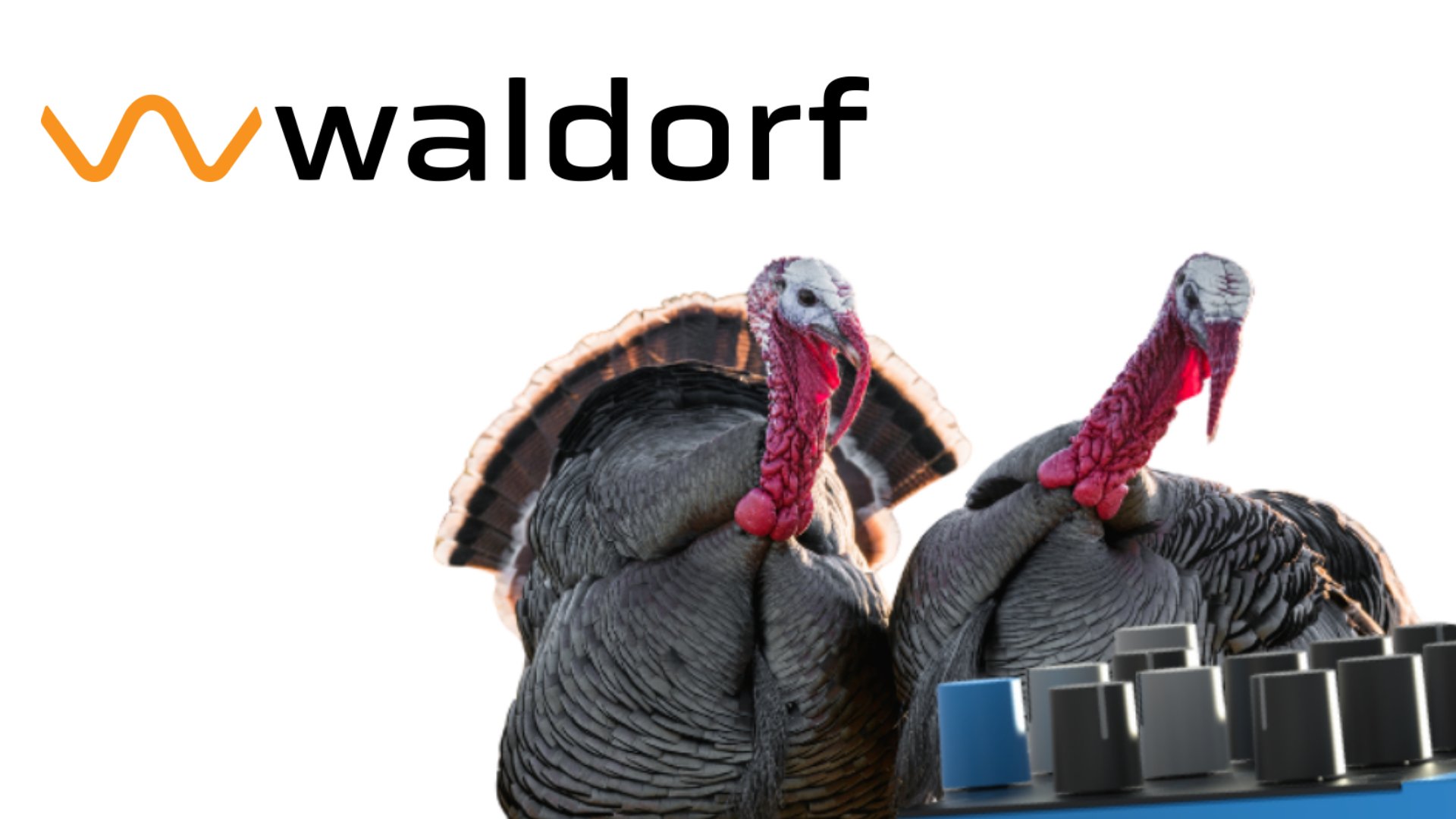 Waldorf-new-hardware.jpg