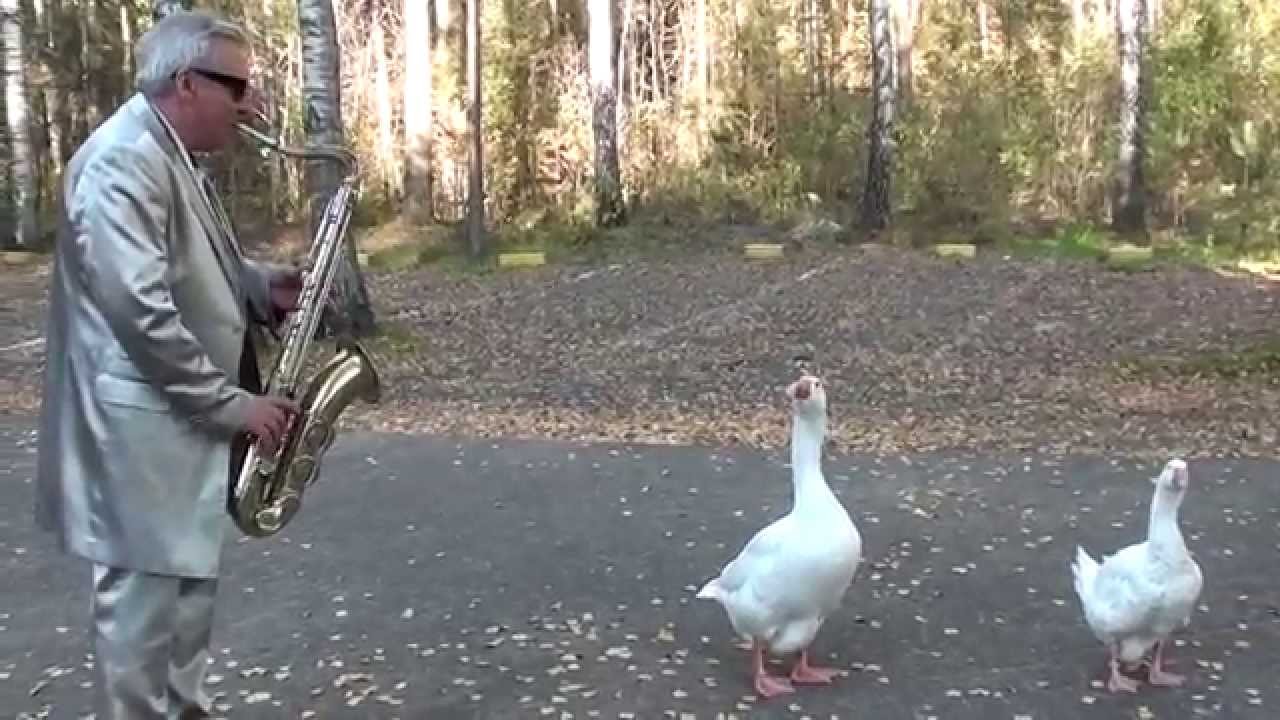 maxresdefault (8).jpg