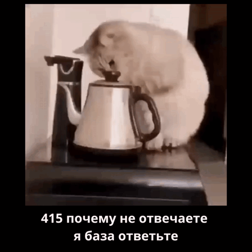 415-я-база.png