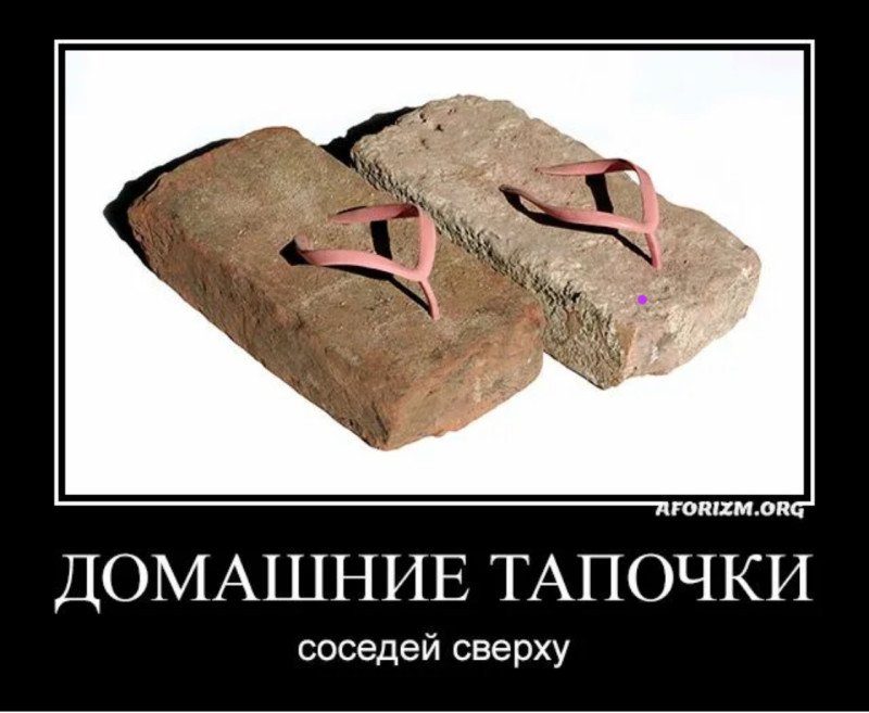 img_4982.jpeg