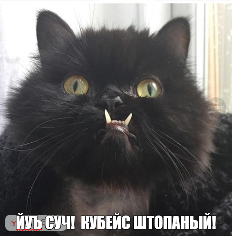 1782420770537.png
