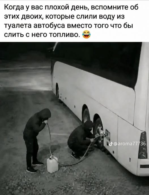 21284691.jpg