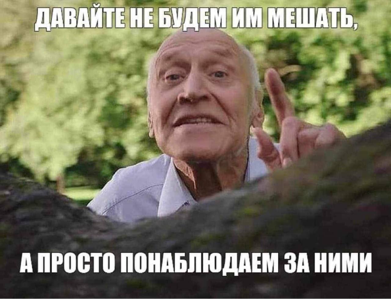 1687560765159468531.jpg