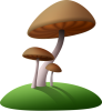 mushrooms-1662959_640.png