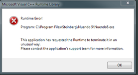 runtime error.PNG