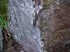 100_02031.jpg