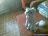 5c4dd223cfe38c8db19974244c37cc9e.jp.jpg