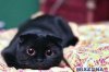 64a2480c644b301e46be27afce7a99f8.jp.jpg