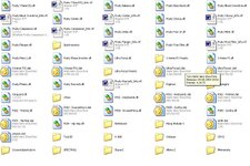 VST.JPG