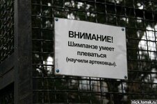 104_0485_vi.jpg