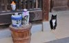 Pots and a Cat - Fukiya.jpg