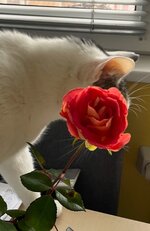 IMG_3789.jpeg