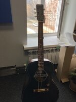 IMG_7664.jpeg