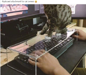 1748461101287.png