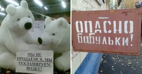 vot1.jpg