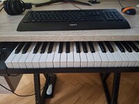 20250620_133518.jpg