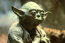 Master Yoda.jpg