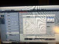 IMG_7949.jpeg