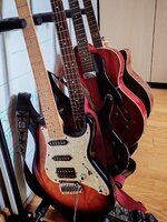IMG_20250707_083154.jpg