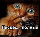 Снимок экрана 2025-07-18 211724.jpg